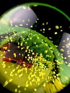 Tata Harper Skincare Custom Snow Globes