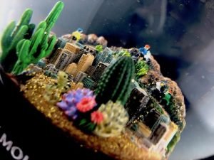 Camelback Mountain Custom Snow Globes