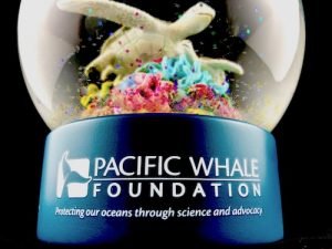 Pacific Whale Conservation Custom Snow Globes