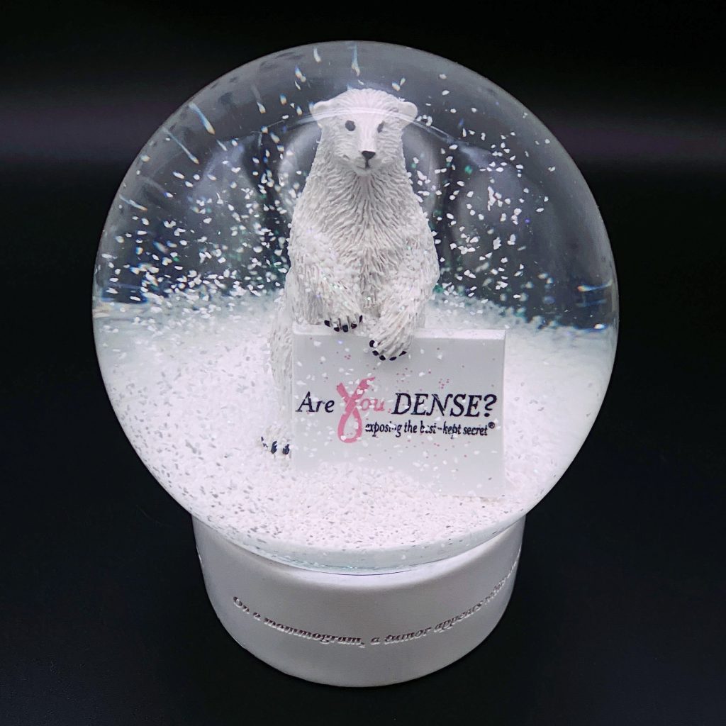 Are You Dense? Queen of Snow Globes